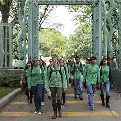 Project TRUE Investigating Insect Samples at Bronx Zoo